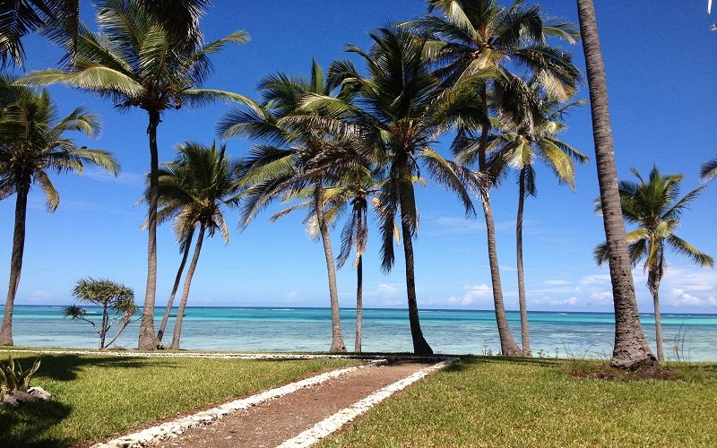  What’s the Best Time to Travel to Zanzibar for Perfect Weather?
